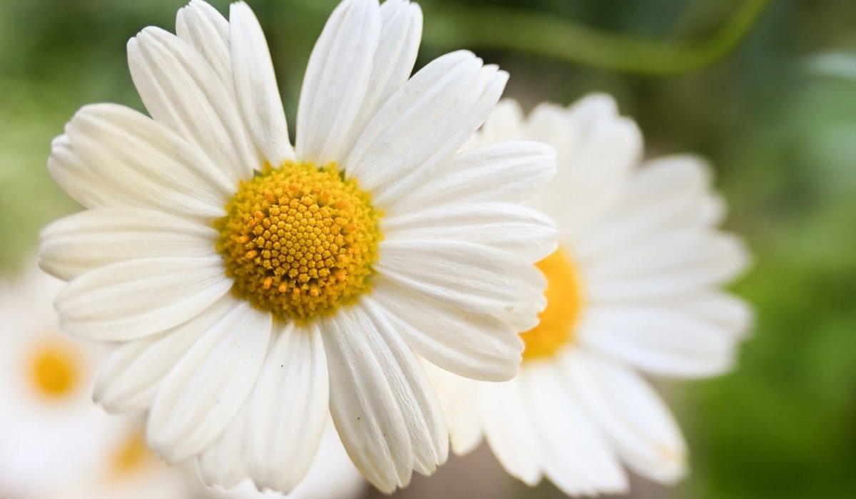 Building Gentle Routines for a Calmer Week