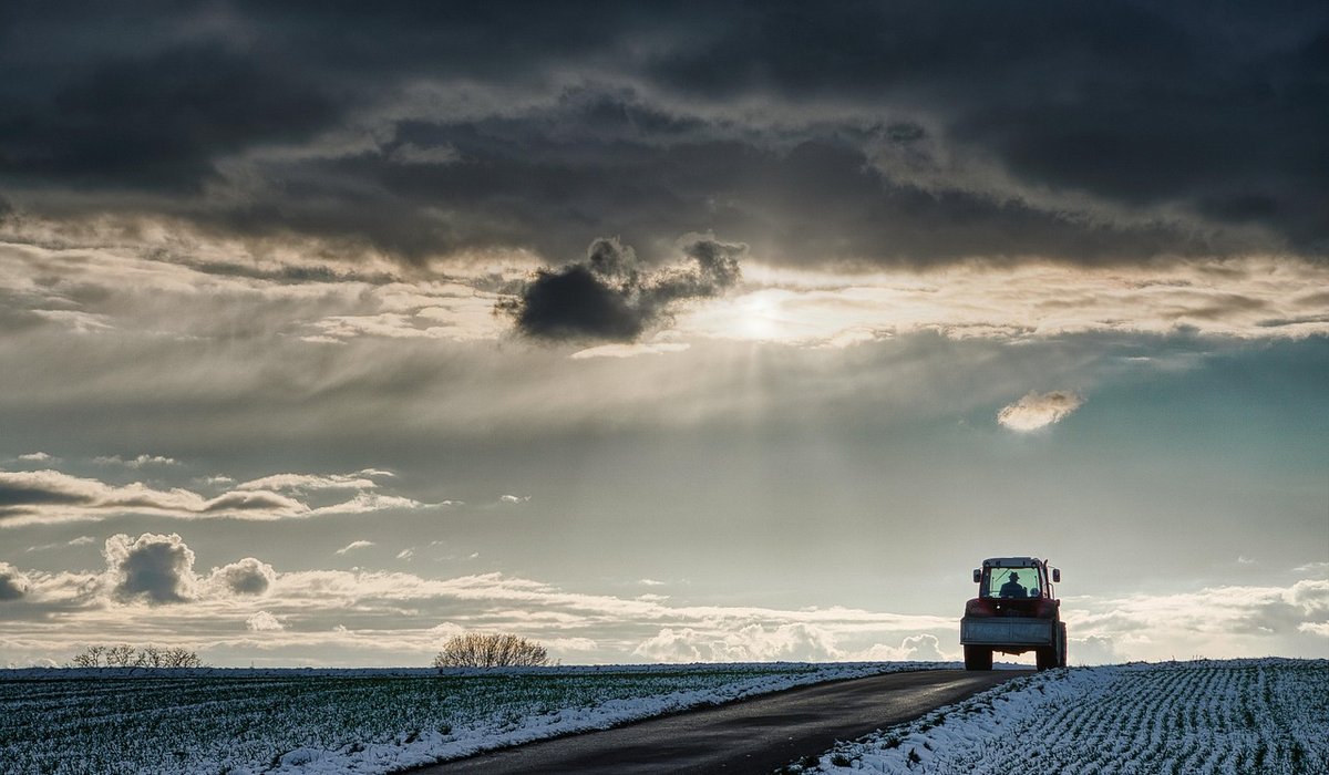 How to Plan a Gentle Weekend Walk in the Chilterns